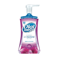 DIA 02935 - DIAL Complete® Antibacterial Foaming Hand Wash  - Cool Plum
