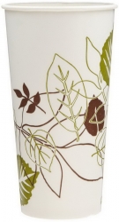 DXE22PPATH - RUBBERMAID Dixie® Pathways® Polycoated Paper Cold Cups - 21 OZ.