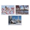 HOFFMASTER Multi-Pack Placemats - Winter Scenes, 1,000/Ctn