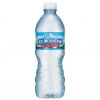 NESTLE Ice Mountain® Natural Spring Water - 40/CT, 16.9 oz.