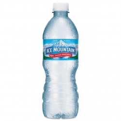 NLE1039247 - NESTLE Ice Mountain® Natural Spring Water - 40/CT, 16.9 oz.