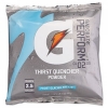 RUBBERMAID G2 Low Calorie Powdered Drink Mix, Glacier Freeze® - 21 OZ